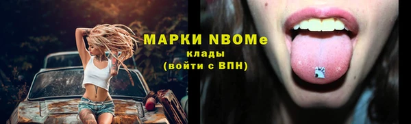 apvp Алзамай