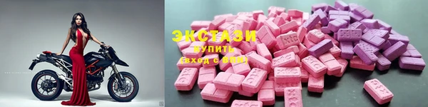 apvp Алзамай