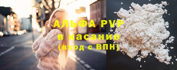 apvp Алзамай