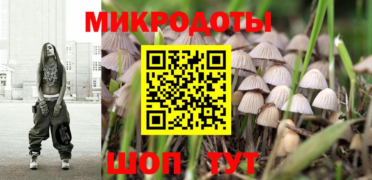Псилоцибиновые грибы GOLDEN TEACHER Добрянка